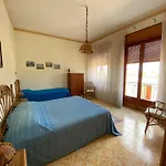 Sofia San Ciro 401 Ulmi