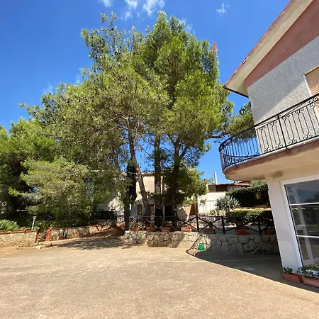 Sofia San Ciro 401 * Ulmi