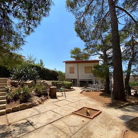 Sofia San Ciro 401 Ulmi