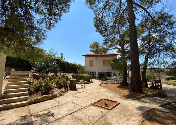 Sofia San Ciro 401 Ulmi