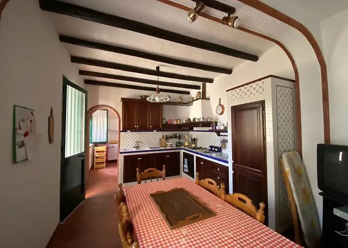 Sofia San Ciro 401 * Ulmi