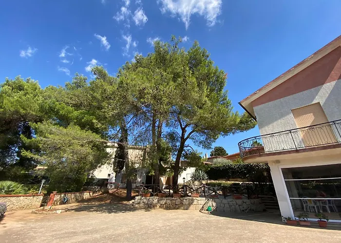 Sofia San Ciro 401 * Ulmi